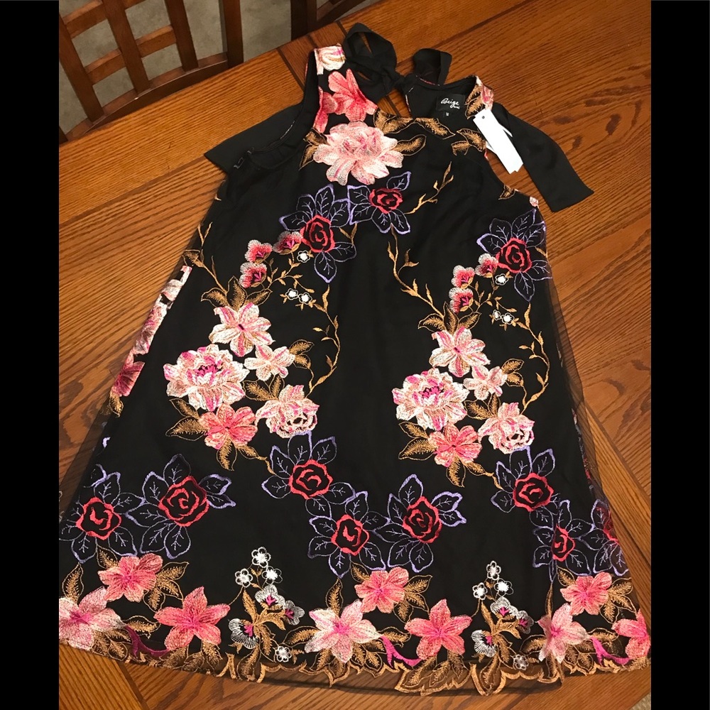 Stitch Fix NWT Trapeze Dress